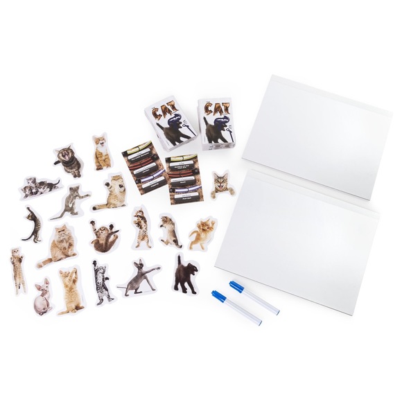 The Cat Game - Picture 10 of 10